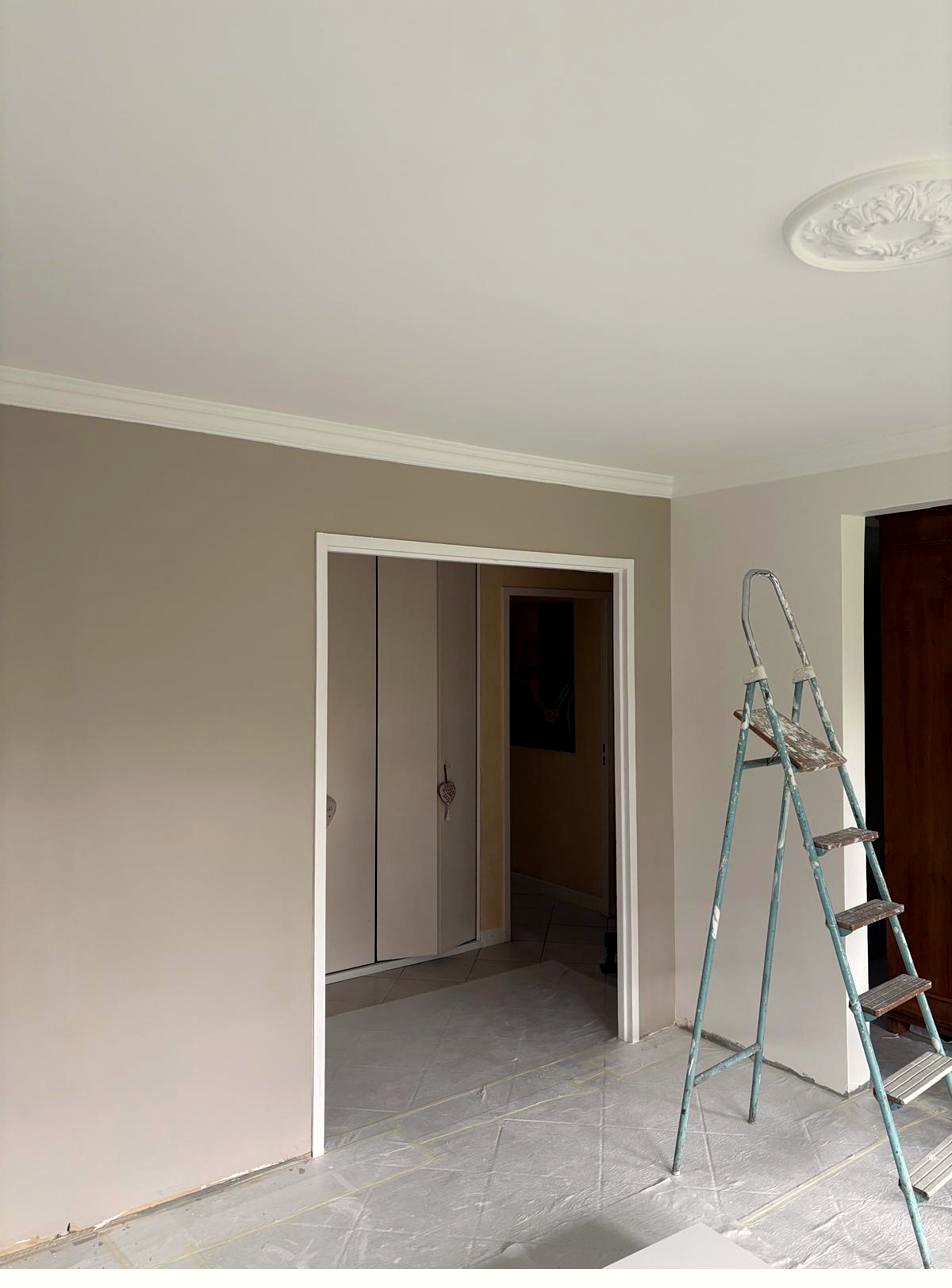 Renovated room with repainted mouldings and ceiling rose, Geneva